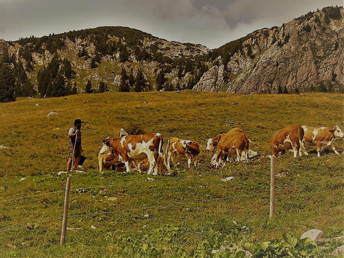 Landhotel Zum Staffelwirt Jachenau Zewnętrze zdjęcie